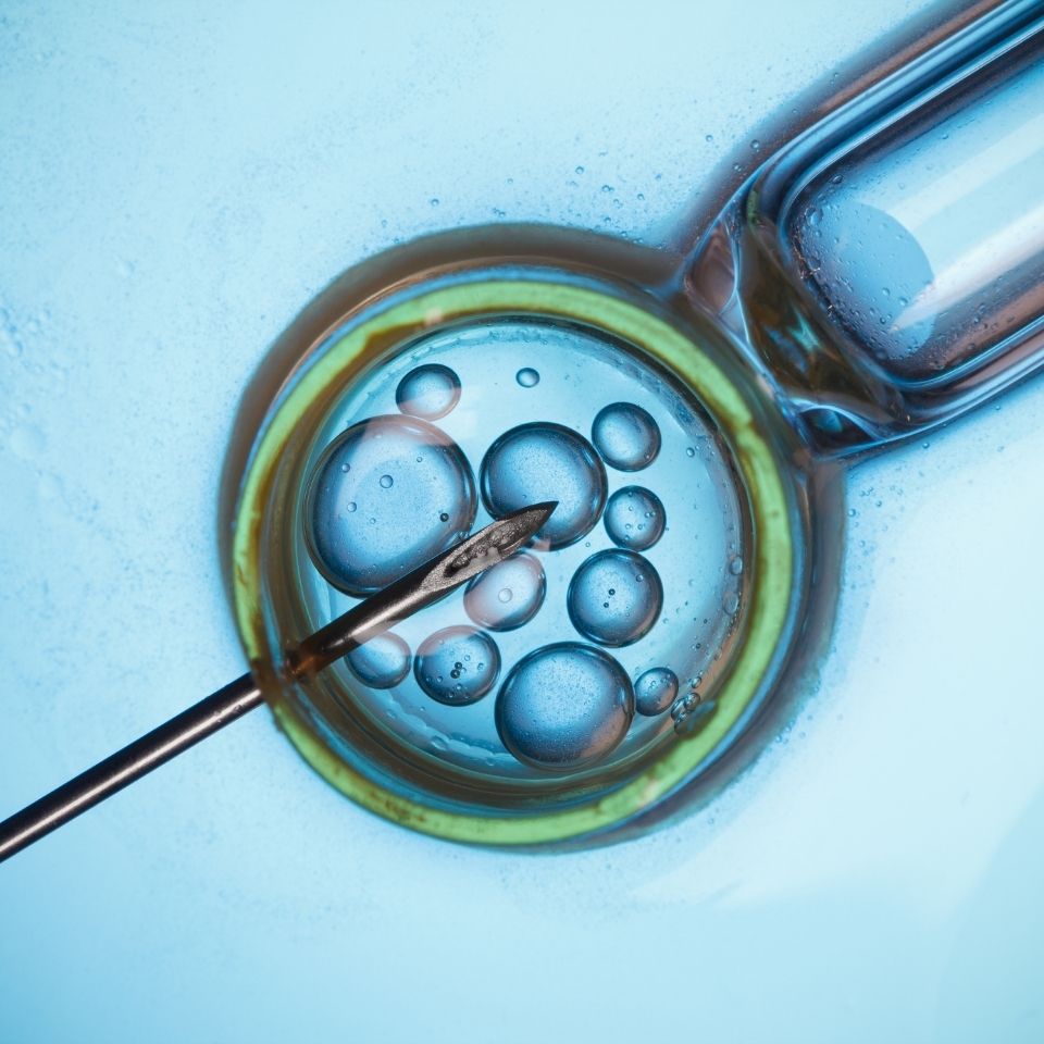 Fertility & IVF Treatments