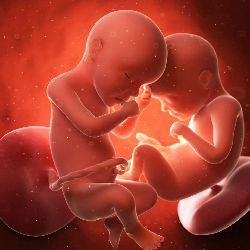 Navishqa - High-Risk Pregnancy Management