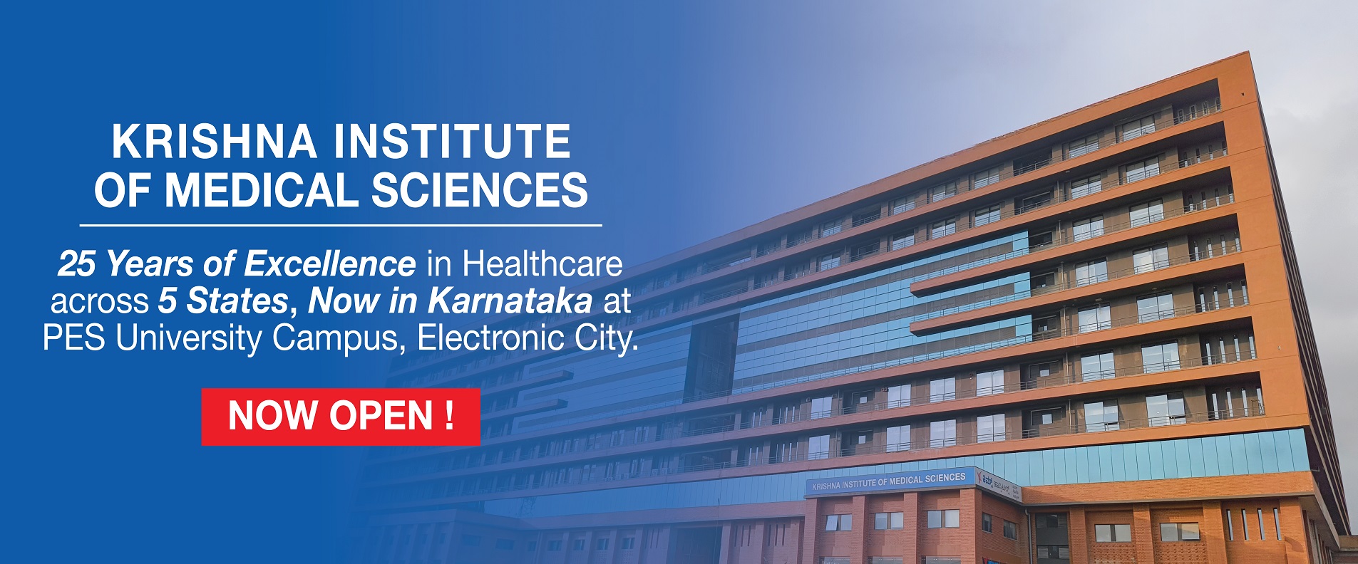 Electronic City